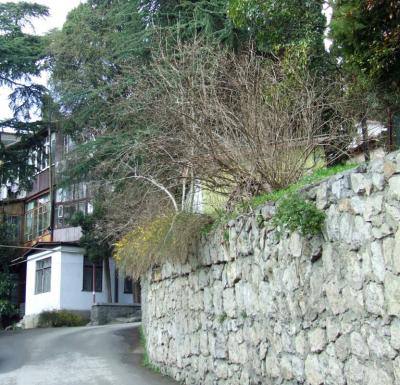 Прикрепленное изображение: DSCF6610.jpg